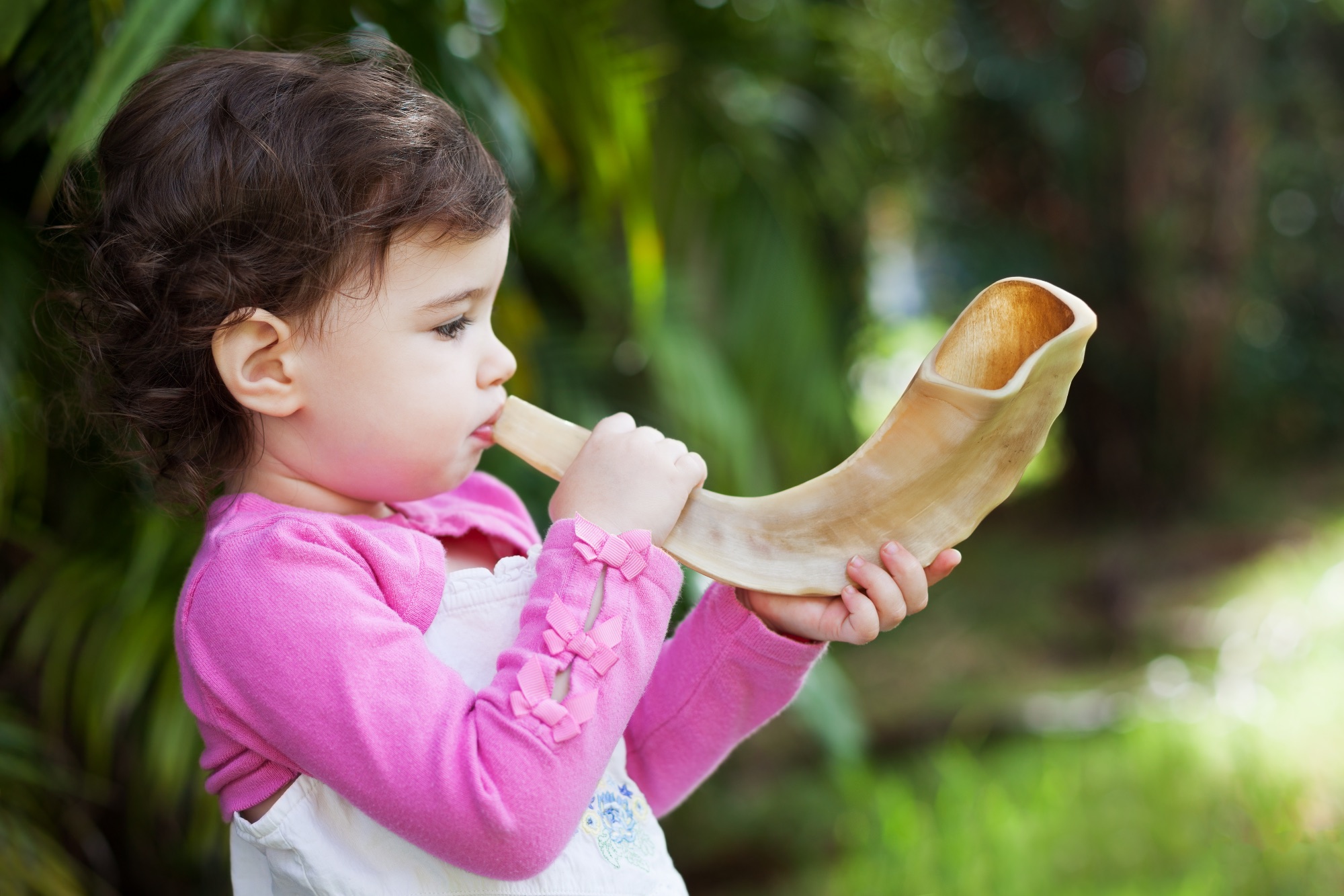 Shofar in the Park